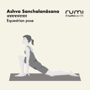 ASHVĀ SANCHĀLANĀSAN (EQUESTRIAN POSE)